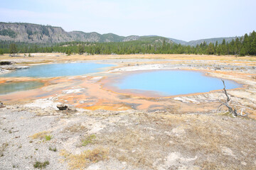 Yellowstone National Park in Wyoming, USA