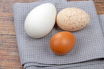 oeufs d'oie, de poulet et de dinde cru