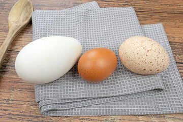 oeufs d'oie, de poulet et de dinde cru