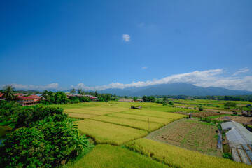 Beautiful bird's eye view.