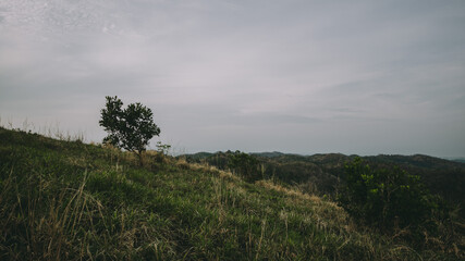 Beautiful bird's eye view.
