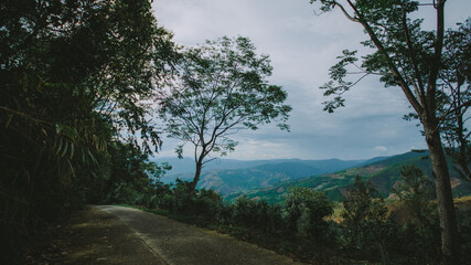 Beautiful bird's eye view.