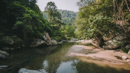 Fototapeta premium The river runs through the middle of the valley in the forest. 