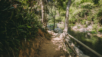 The river runs through the middle of the valley in the forest.