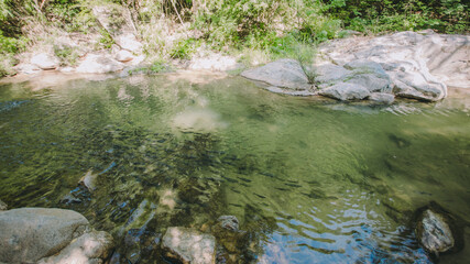Fototapeta premium The river runs through the middle of the valley in the forest.