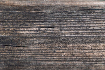 grunge background: sunburnt whitened wood surface close, cracks and dents, toning