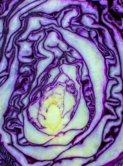 Obraz premium Purple or red cabbage texture inside, Natural eco background. Beautiful wallpaper. Macro photo.