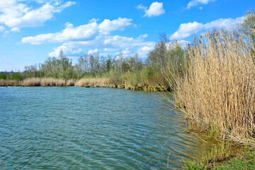 Spring picturesque sunny water landscape in nature outdoors by a reservoir on the shore of a pond or lake in good weather.