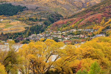 Autumn color surrounding Queenstown, New Zealand.  Trees with bright foliage around the suburb of Frankton