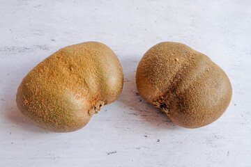 Ugly organic fruit-two oddly shaped kiwi fruit on a gray background. Horizontal orientation. Buying...