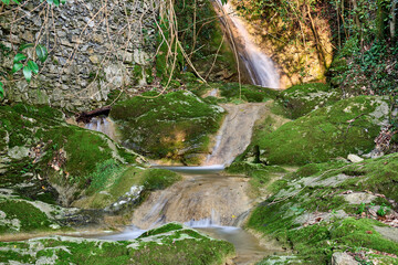 stream in a wood in Recco, Liguria, Italy