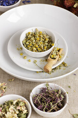 Assortment of dry herbs: chamomile, apple tree flowers, cornflower, lavender, thyme on rustic linen texture, closeup, natural medicine, naturopathy, homeopathy, making tea blends concept