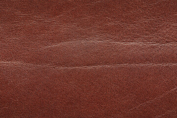 Structure of brown skin texture