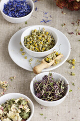 Assortment of dry herbs: chamomile, apple tree flowers, cornflower, lavender, thyme on rustic linen texture, closeup, natural medicine, naturopathy, homeopathy, making tea blends concept