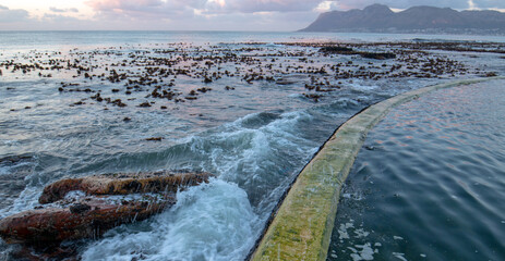 Sunrise over circular seawall at Dale Brook Tide Pool in Cape Town South Africa RSA