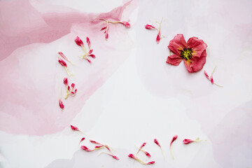 Delicate fluid art background with pink petals and flower in circle. Infinity concept. Copy space. High quality photo