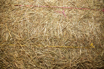 A straw bail background texture of the hay bale