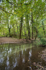 Oasi La Fagiana - Parco del Ticino