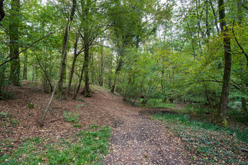 Autunno nel parco del Ticino