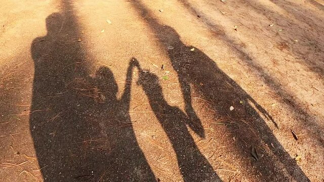 Shadow of a walking family in the summer pine forest sunshine.