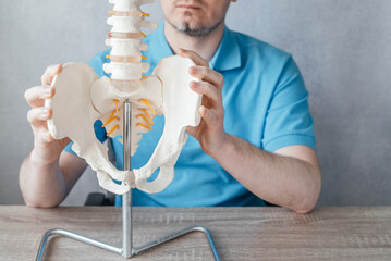Close up of male doctor's hand showing iliac crest or hip bones on a skeleton spine model, iliacus muscle attachment