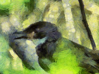 Small magpie  Illustrations creates an impressionist style of painting.