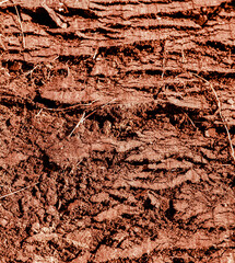 Cracked red soil on the nature.