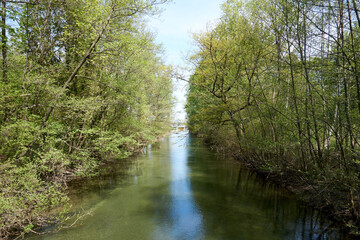 Fototapeta na wymiar small river tributary of the rhine with crystal clear water in sunshine under a blue sky