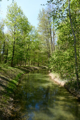 small river tributary of the rhine with crystal clear water in sunshine under a blue sky