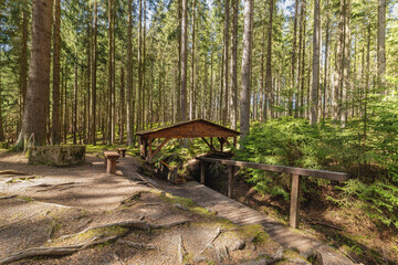 Wooden Mineral Spring Shelter in the Spa Forest - Bear Spring in Mariánské Lázně (Marienbad) - Czech Republic
