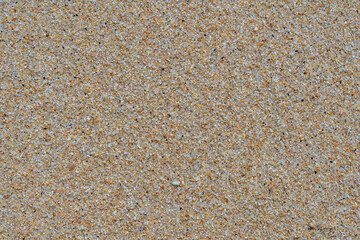 Sandy beach background. Detailed sand texture. Top view