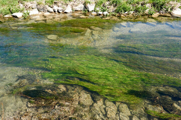 small river tributary of the rhine with crystal clear water in sunshine under a blue sky