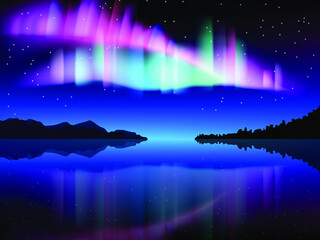 Northern lights. Aurora borealis in the sky over the forest and the ocean. Vector illustration