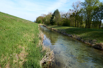 small river tributary of the rhine with crystal clear water in sunshine under a blue sky