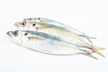 Fresh balang fish on white background