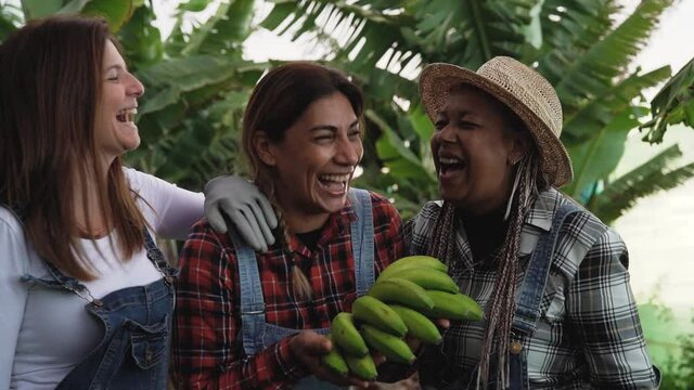 Happy farmers having fun working in banana plantation - Farm people lifestyle concept 