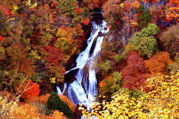 日本の秋の代名詞　日光の霧降の滝と美しい紅葉