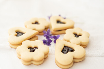 selection of sweet baked cream edible flowers and fruit dessert cakes for mothersday, wedding, birthday, paerty celebration. viola odorata cake. 