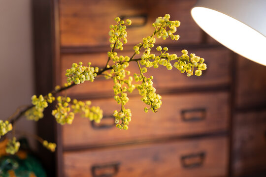 ライトに照らさせた花