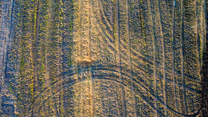 Aerial view geometric farming fields, showing a green meadow and plowed fields, captured with a drone. High quality photo