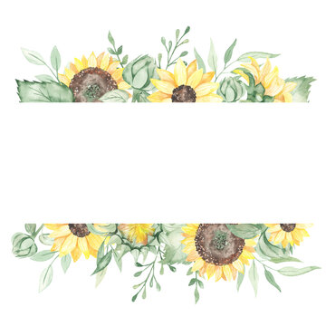 Watercolor banner with sunflowers, buds, leaves, twigs, flowers, foliage