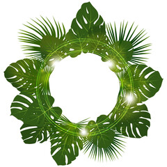 Monstera and washingtonia palm leaf vector frame. © SunwArt