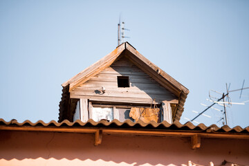 roof of a house