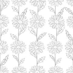 Fototapeta premium Seamless pattern flowers daisies graphics lines black and white vector illustration