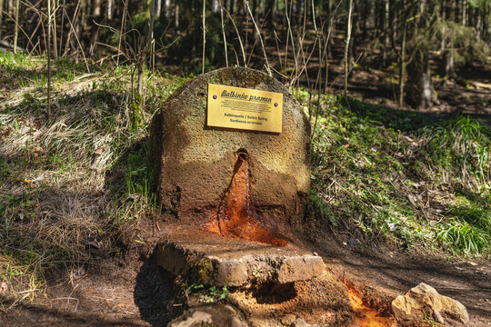 Balbin's spring (in Czech Balb&iacute;nův pramen) - springs on the edge of a peat bog about a kilometer west of spa town Mari&aacute;nsk&eacute; L&aacute;zně (Marienbad) - Czech Republic 
