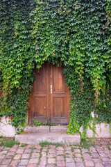 Fototapeta na wymiar Old Wooden Door with Ivy