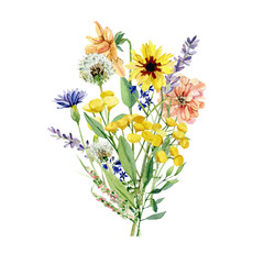 Watercolor bright wild flower bouquet. Arragement composition with meadow wildflowers, dandelion, tansy, herbs, leaves, branches, twigs, foliage for wedding invite, bridal shower, baby shower, logo