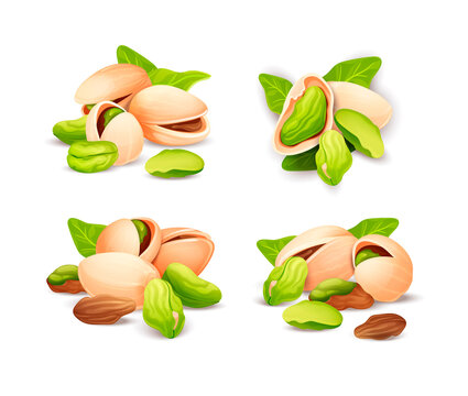 Pistachios nut compositions set, label and sticker