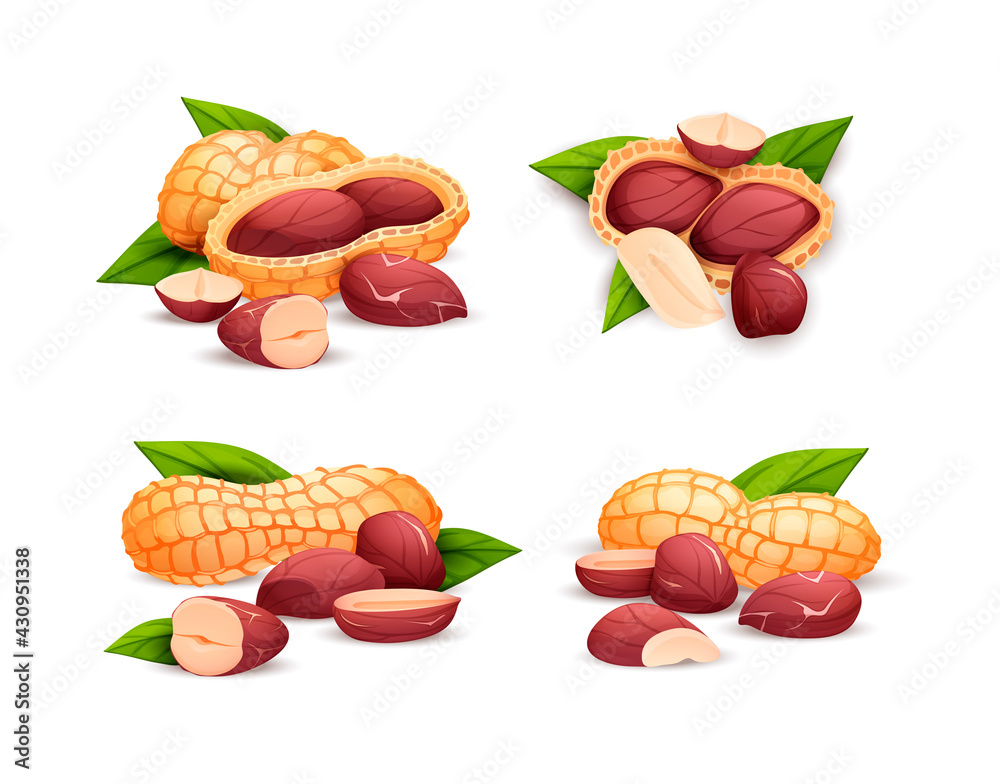 Wall mural Peanut compositions set, side and top view. - Wall murals