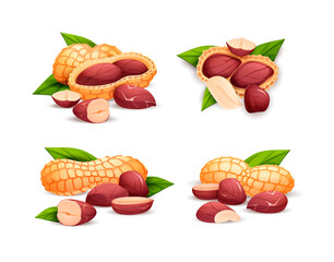Peanut compositions set, side and top view.